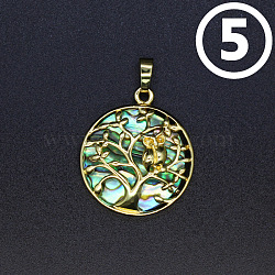 Natural Abalone Shell/Paua Shell Pendants, Flat Round Charms, Tree of Life, 31x27mm(PW-WG52198-05)