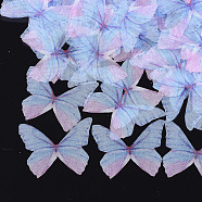 Organza Fabric, For DIY Jewelry Making Crafts, Butterfly, Light Blue, 41x48.5mm(FIND-S317-04)