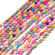 10 Strands Colorful Natural Freshwater Shell Dyed Beads Strands, Moon & Flower & Horse Eye, Mixed Shapes, 8~14x5.5~9x2.5~3mm, Hole: 0.8mm, about 28~48pcs/strand, 14.76~15.35''(37.5~39cm)(SHEL-M018-03)