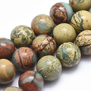 Natural Aqua Terra Jasper Beads Strands, Round, 10mm, Hole: 1mm, about 41pcs/strand, 15.9 inch(40.5cm)(G-N0128-48-10mm)