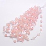 Natural Rose Quartz Beads, Rose, 12x10~11mm, Hole: 1mm(X-G-O156-C-16)