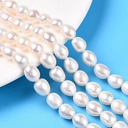 Natural Cultured Freshwater Pearl Beads Strands, Rice, Old Lace, 8~10x7.5~8.3mm, Hole: 0.6mm, about 36pcs/strand, 13.98''(35.5cm)(PEAR-N012-07U)