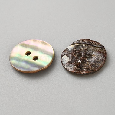 Natural Shell Buttons(BUTT-WH0024-041E)-2