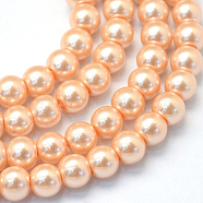 Baking Painted Pearlized Glass Pearl Round Bead Strands, Light Salmon, 8~9mm, Hole: 1mm, about 100~105pcs/strand, 31.4 inch(HY-Q330-8mm-18)