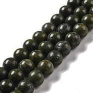 Natural Epidote Beads Strands, Round, 10.5mm, Hole: 1.1mm, about 36~38pcs/strand, 15.55''(39.5cm)(G-D465-01A)
