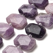 Natural Lepidolite Beads Strands, with Glass Beads, Faceted, Rectangle, 20.5~22.5x15.5~16.5x6.5~7.5mm, Hole: 1.6mm, about 21pcs/strand, 15.12~15.28''(38.4~38.8cm)(G-H078-B14-01)