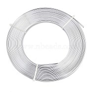 Aluminum Wire, Bendable Metal Craft Wire, Flat Craft Wire, Bezel Strip Wire for Cabochons Jewelry Making, Silver, 5x1mm, about 32.8 Feet(10m)/roll(AW-S010-01)