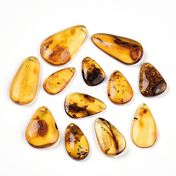 Natural Amber Pendants, Teardrop Charms, 19.5~33x12~20.5x2.5~6.5mm, Hole: 1.2mm(G-T140-17)