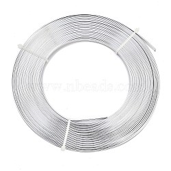 Aluminum Wire, Bendable Metal Craft Wire, Flat Craft Wire, Bezel Strip Wire for Cabochons Jewelry Making, Silver, 5x1mm, about 32.8 Feet(10m)/roll(AW-S010-01)