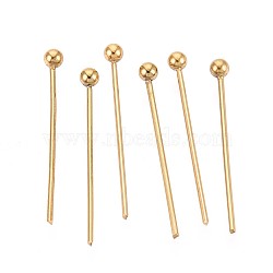 304 Stainless Steel Head Pins, Ion Plating(IP), Real 18K Gold Plated, 18mm, Head: 2mm, 100pcs/set(STAS-T065-18mm-20G)