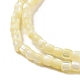 Brins de perles de coquillages naturels de troca(SSHEL-H070-02F)-4