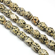 Natural Dalmatian Jasper Faceted Rhombus Beads Strands, 18x13x12mm, Hole: 1mm, about 22pcs/strand, 15.74 inch(G-L235-12)