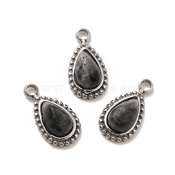 304 Stainless Steel Pave Natural Labradorite Teardrop Charms, Stainless Steel Color, 11.5x6x4mm, Hole: 1.4~1.5mm(STAS-B074-04P-03)