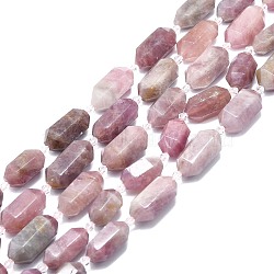 Natural Rose Quartz Beads Strands, Faceted, Double Terminated Pointed/Bullet, 25~27x13~15x12~13mm, Hole: 1.2mm, about 12~13pcs/strand, 15.35 inch(39cm)(G-F715-063)