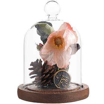 1Pc Glass Dome Cover, Decorative Display Case, Cloche Bell Jar Terrarium with Wood Base, Round, 92x143mm, Inner Diameter: 87mm