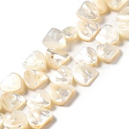 Natural White Shell Beads Strands, Triangle, White, 12x12x3mm, Hole: 0.5mm, about 46pcs/strand, 15.55 inch(39.5cm)(SHEL-G014-15)