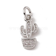 Brass Micro Pave Clear Cubic Zirconia Cactus Charms, with Open Jump Rings, Platinum, 12.5x6x2mm, Jump Ring: 4.5x0.7mm, Inner Diameter: 3mm (ZIRC-F132-67P)