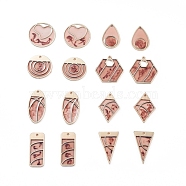 Epoxy Resin Pendants, with Golden Tone Alloy Findings, Flat Round with Star & Hexagon & Inverted Triangle & Rectangle & teardrop, & Oval & Flat Round & Rhombus, Dark Salmon, 23~32x13~26.5x1.5~2mm, Hole: 0.8~3.5x5mm, 16pcs/set(RESI-X0001-09)