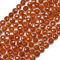 Natural Carnelian Beads Strands, with Seed Beads, Faceted, Dyed & Heated, Flat Round, 6~6.5x4mm, Hole: 1mm, about 50pcs/strand, 15.35''(39cm)(G-K389-B19-01)