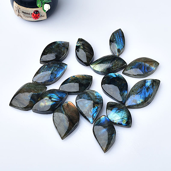 Reiki Natural Labradorite Healing Stones, Horse Eye Worry Stone, Pocket Palm Stones for Reiki Ealancing, 35~50x25~30mm