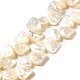 Natural White Shell Beads Strands(SHEL-G014-15)-1
