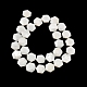 Natural White Shell Beads Strands(SHEL-G022-01)-2