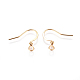 304 Stainless Steel Earring Hooks(STAS-I120-22A-G01)-2