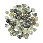 Grade A Natural Prehnite Beads, Tumbled Stones, No Hole/Undrilled, Nuggets, 15~40.5x11~20x7~19mm(G-G348-01A-22)