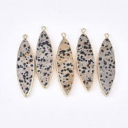 Electroplate Natural Dalmatian Jasper Big Pendants, with Iron Findings, Horse Eye, Golden, 54~56x14~16x5~6mm, Hole: 1.8mm(G-S344-86A)