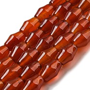 Natural Red Agate Beads Strands, Dyed, Bicone, 11.5x8mm, Hole: 1mm, about 33pcs/strand, 15.28''(38.8cm)(G-A223-C09-01)