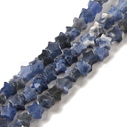 Natural Sodalite Beads Strands, Star, 4x4.5x2mm, Hole: 0.8mm, about 102pcs/strand, 15.35 inch(39cm)(G-G085-B18-01)