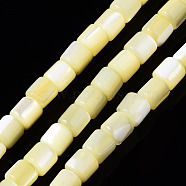 Natural Trochid Shell/Trochus Shell Bead Strands, Dyed, Column, Yellow, 3.5x3.5mm, Hole: 1mm, about 111~117pcs/strand, 15.35 inch~15.94 inch(39~40.5cm)(SSHEL-N034-77-C06)