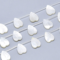 Natural White Shell Mother of Pearl Shell Charms, Heart, Creamy White, 12.5x9x2.5mm, Hole: 0.5mm(SSHEL-N036-024)