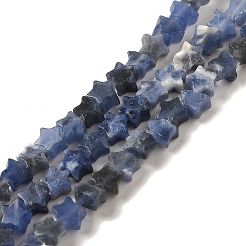 Natural Sodalite Beads Strands, Star, 4x4.5x2mm, Hole: 0.8mm, about 102pcs/strand, 15.35 inch(39cm)