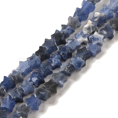 Star Sodalite Beads