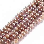 Natural Cultured Freshwater Pearl Beads Strands, Potato, Saddle Brown, 6~6.5x5~7mm, Hole: 0.6mm, about 61pcs/strand, 13.58 inch(34.5cm)(PEAR-L033-05B-01)