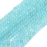 Natural Apatite Beads Strands, Grade AA, Faceted, Round, 3mm, Hole: 0.5mm, about 113pcs/strand, 15.35 inch(39cm)(G-E411-27B-3mm)