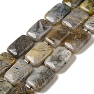 Natural Bamboo Leaf Agate Beads Strands, Rectangle, 18x13~14x5mm, Hole: 1mm, about 21pcs/strand, 15.16~15.35''(38.5~39cm)(G-NH0014-E01-01)