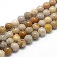 Natural Fossil Coral Beads Strands, Round, 6~7mm, Hole: 1mm, about 60~67pcs/strand, 15.7 inch(G-R446-6mm-28)