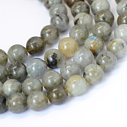 Natural Labradorite Round Bead Strands, 8~8.5mm, Hole: 1mm, about 47pcs/strand, 15.5 inch(X-G-E334-8mm-19)
