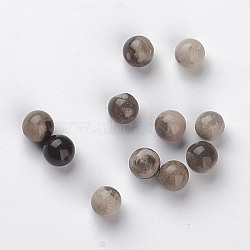 Natural Petrified Wood Beads, Gemstone Sphere, No Hole/Undrilled, Round, 8mm(G-G813-16)