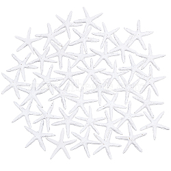 Resin Cabochons, Starfish/Sea Stars, White, 53~55x53~55x8mm(RESI-PH0001-34-WH)