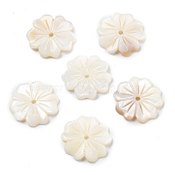 Natural Freshwater Shell Beads, Flower, Floral White, 17~17.5x2mm, Hole: 1.5~1.6mm(SHEL-Z002-02)