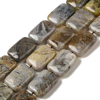 Natural Bamboo Leaf Agate Beads Strands, Rectangle, 18x13~14x5mm, Hole: 1mm, about 21pcs/strand, 15.16~15.35''(38.5~39cm)