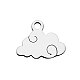 304 Stainless Steel Charms(STAS-Q201-T481)-1