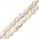 Eau douce naturelle de coquillage perles brins(SHEL-C003-06)-1