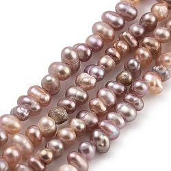 Natural Cultured Freshwater Pearl Beads Strands, Potato, Rosy Brown, 2.5~3mm, Hole: 0.5mm, about 82~83pcs/strand, 7.09 inch(18cm)(PEAR-C003-06C)