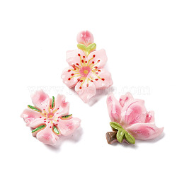 Opaque Resin Cabochons, Flowers, Mixed Color, 24.5~35x23~29x6.5mm(RESI-R455-01S)