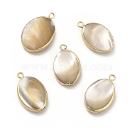 Natural Trochus Shell Charms, with Brass Loops, Oval, Light Gold, 22~24x13~15x5~6mm, Hole: 1.8mm(PEAR-P004-49KCG)