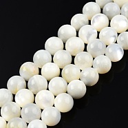 Natural White Shell Bead Strands, Round, 8.5~9mm, Hole: 0.7mm, about 43pcs/strand, 14.96 inch(38cm)(SSHEL-N003-144H-01)